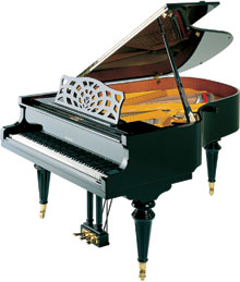 Wagner Piano Petrof Grand P III Styl