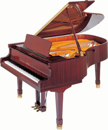 Wagner Piano Petrof Grand P III