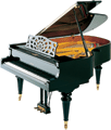 Wagner Piano Petrof Grand P III Styl