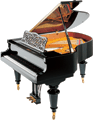 Wagner Piano Petrof Grand P IV Klasik