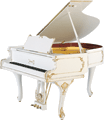 Wagner Piano Petrof Grand P IV Rokoko