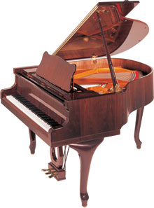 Wagner Piano Petrof Grand PV Demichippendale
