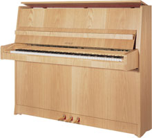 Wagner Piano Upright Vertical P116 E1
