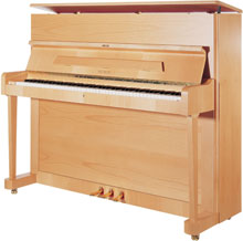 Wagner Piano Upright Vertical P118 P1