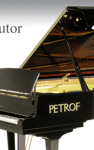 Wagner Piano Petrof