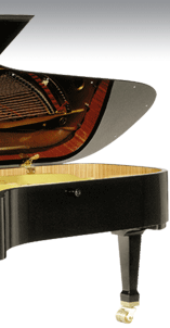Wagner Piano Petrof