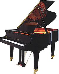 Wagner Piano RE Series