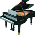 Wagner Piano Petrof Grand P210 Pasat