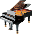 Wagner Piano Petrof Grand PII
