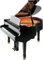 Wagner Piano Petrof Grand P V
